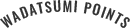 WADATSUMI POINTS